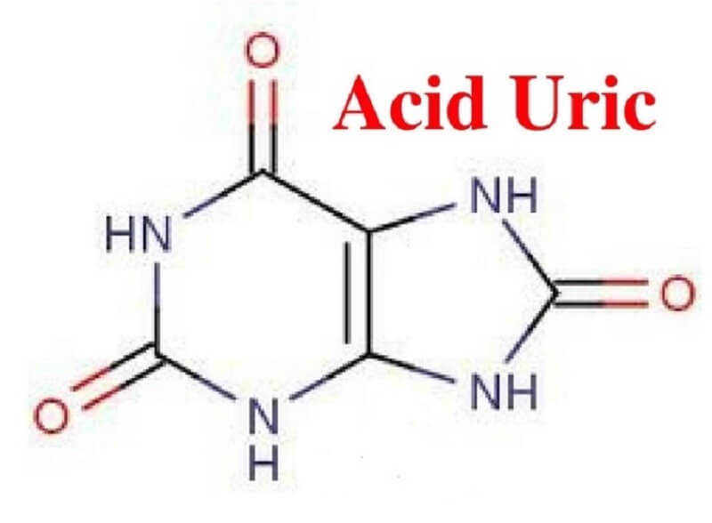 Cấu tạo phân tử phân tử acid uric