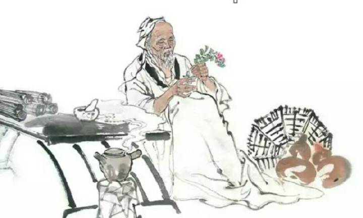 Thần y Hoa Đà phát hiện ra tác dụng của tử tô giải độc, an thần