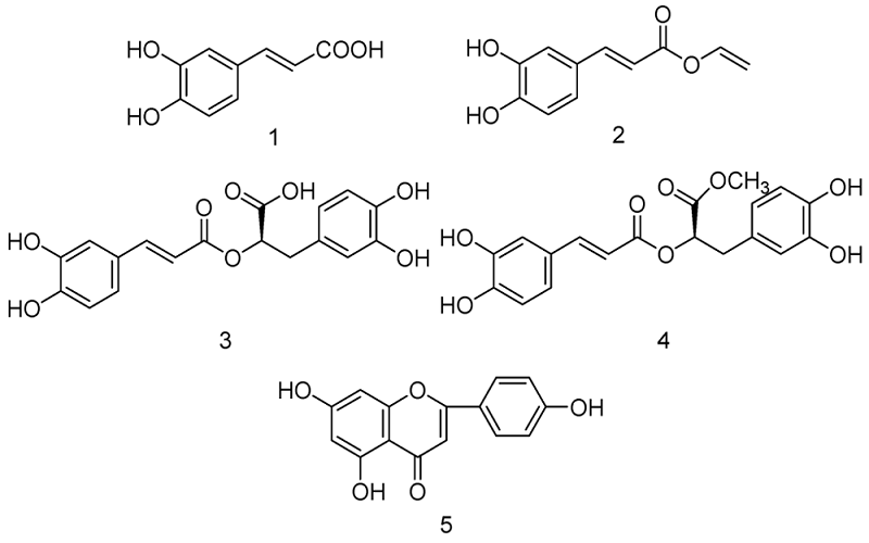 Kết cấu của các hợp chất được xác định từ các phân tử hoạt tính: axit caffeic ( 1 );vinyl caffeate ( 2 ); axit rosmarinic ( 3 ); methyl rosmarinate ( 4 ); apigenin ( 5 ).